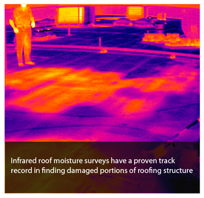 Toronto Infra Red